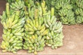 Many green raw cultivated bananas or Pisang Awak Bananas or  Kluai  Namwa Musa sapientum Linn Musa ABB CV.Kluai Ã¢â¬ÅNamwaÃ¢â¬Â Royalty Free Stock Photo